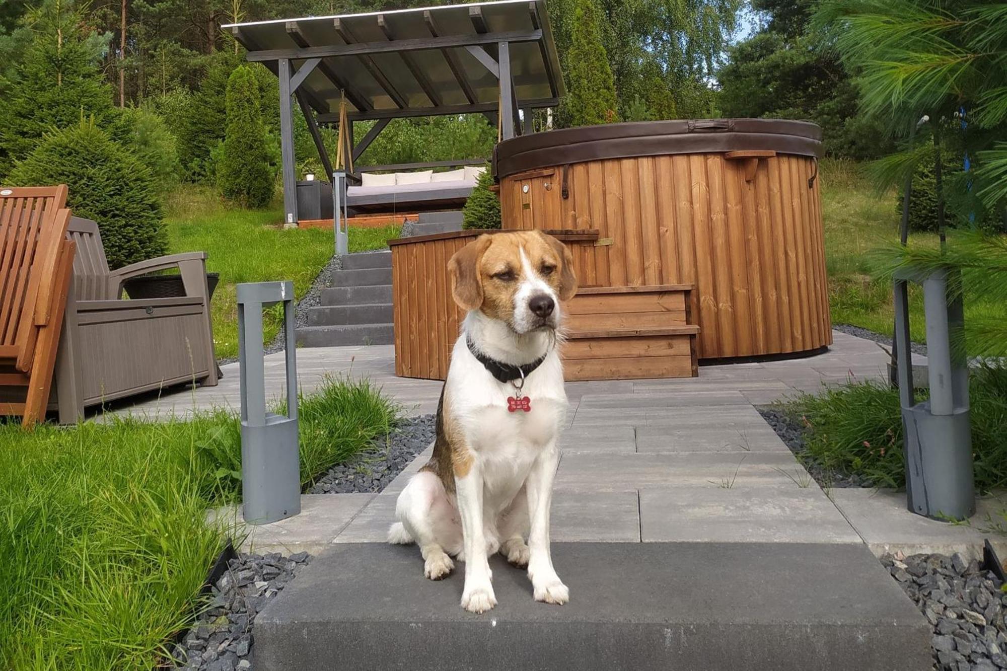 Dom Na Wzgorzu Z Widokiem Na Jezioro Z Balia I Sauna Lipnica  Exterior foto